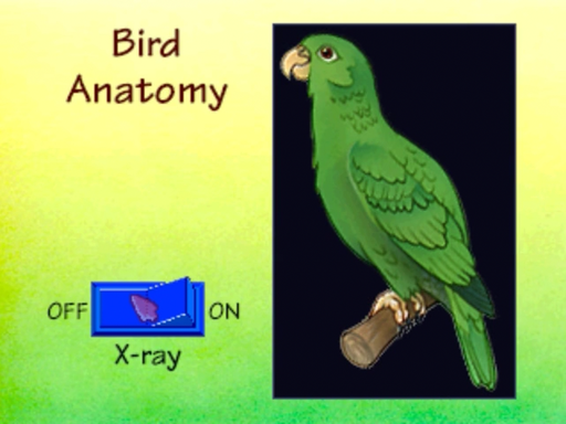 It's a Bird's Life screenshot 3 for 3DO